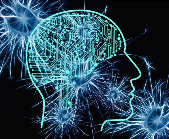 E se tutte le aree del nostro cervello funzionassero contemporaneamente e con 100% di potenza