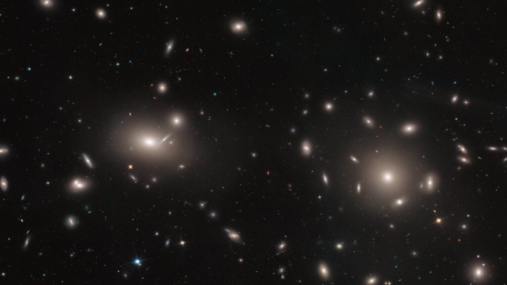 Ngc-4874-see-what-are-the-5-biggest-galaxies-in-the-andromeda-and-milk-way-are-not-in-the-list.