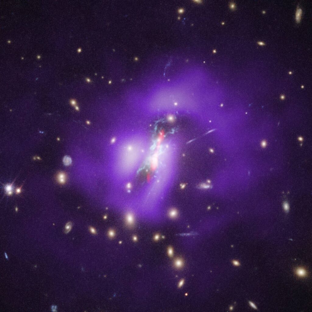 Scopri quali sono le 5 galassie più grandi dell'universo Ammasso di Phoenix, fanatico delle notizie