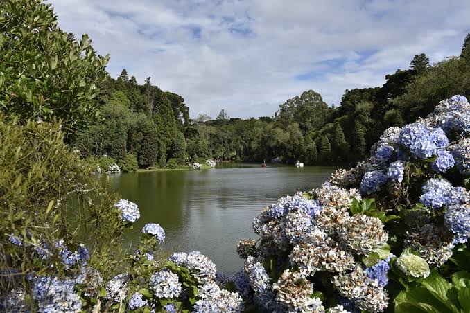 9 lugares incríveis e acessíveis para passar o réveillon 2019 - gramado rs
